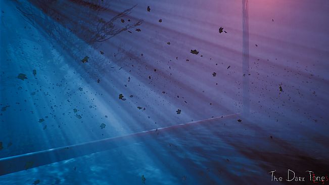 The Dark Tones: Loss