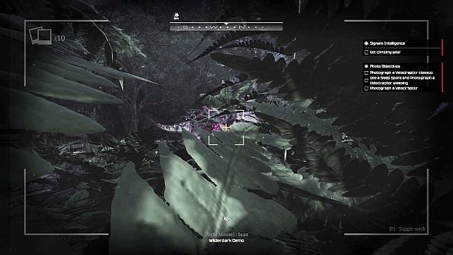 Wilderdark