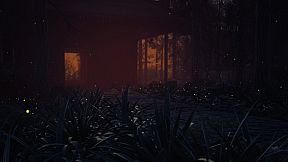 Lushfoil Photography Sim