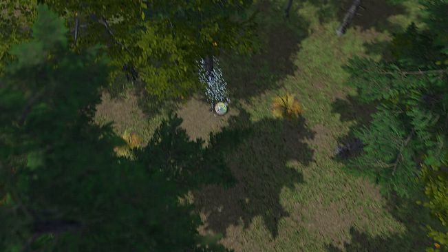 The Ball Flow - Nature and Light