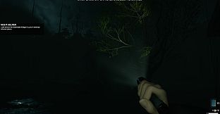 Eclipse Anomaly Research - Swamp of Insanity