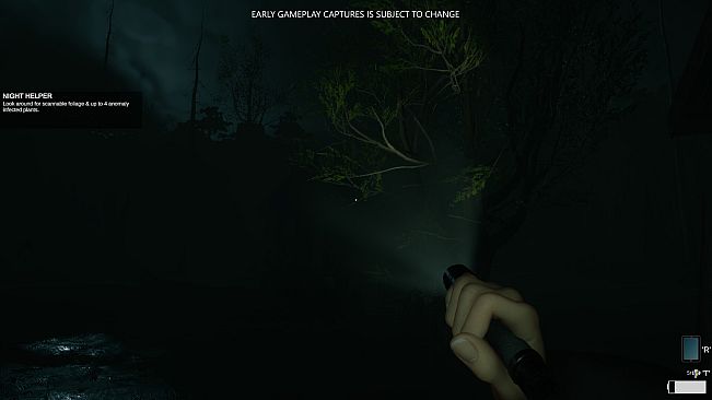 Eclipse Anomaly Research - Swamp of Insanity