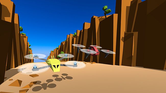 Drone Racer: Canyons