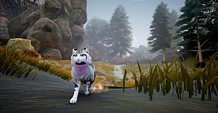 Warrior Cats: Clans of the Forest