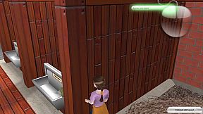 Die drei Freunde von der Reitschule