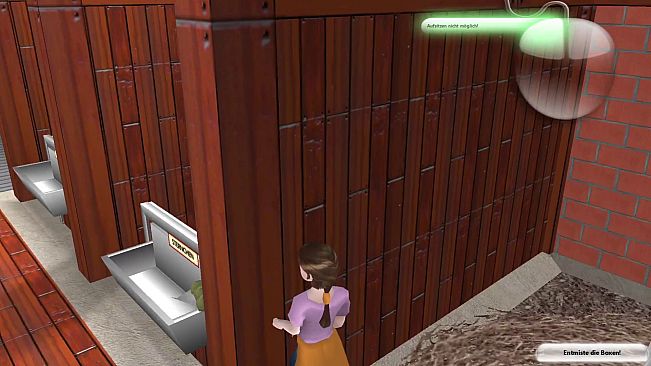 Die drei Freunde von der Reitschule