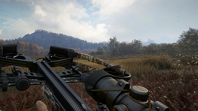 theHunter: Call of the Wild - Weapon Pack 1 - Windows 10