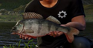 Euro Fishing: Bergsee