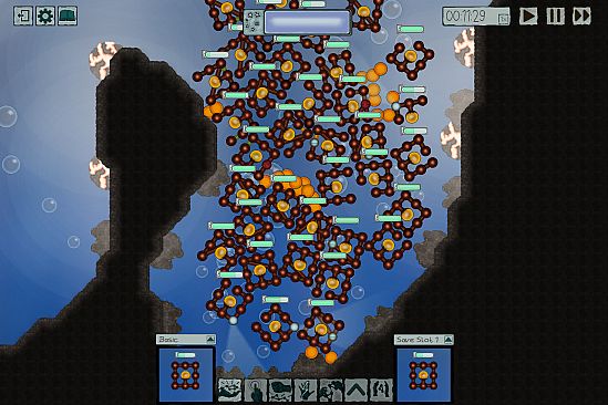 evolution for beginners