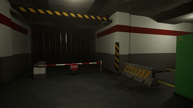 Parking Garage Anomaly