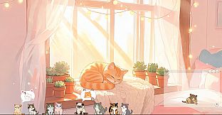 可爱猫