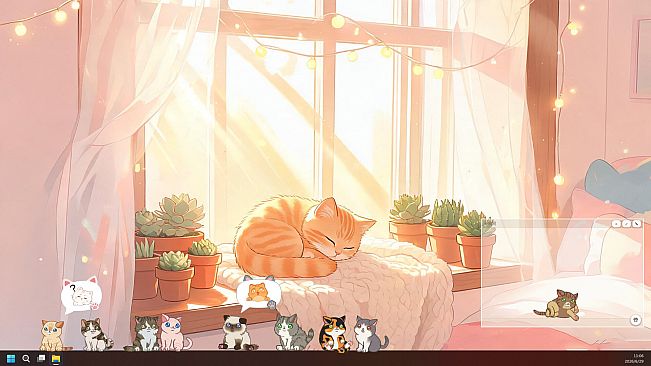 可爱猫