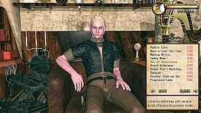 Legend Of Mercy 神医魔导