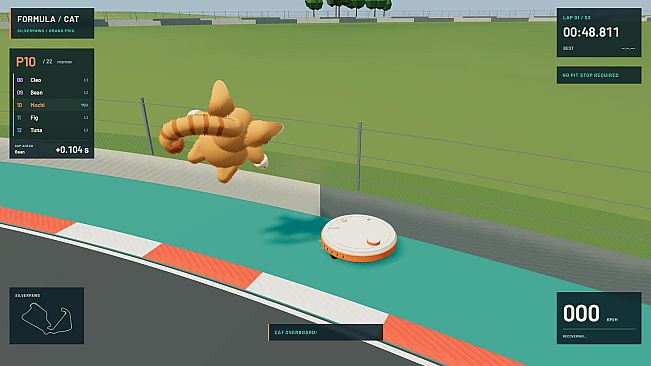 Formula Cat