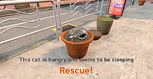 Rescue Over 100 Town Cats