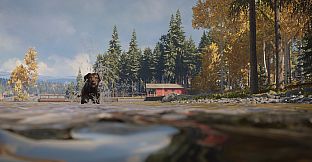 theHunter: Call of the Wild - Labrador Retriever