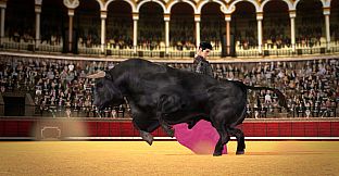 TORO 2 (BULL 2)