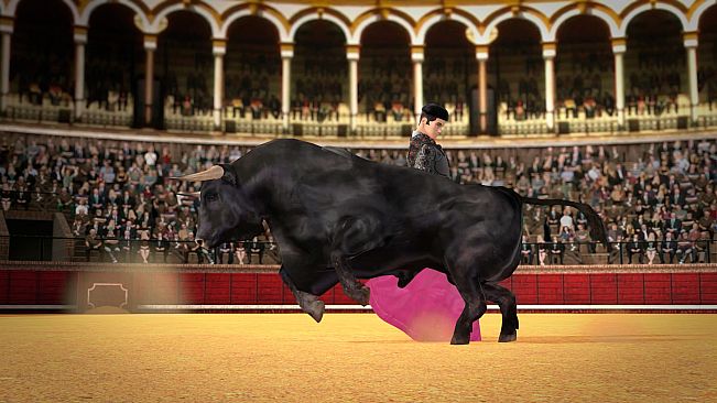 TORO 2 (BULL 2)