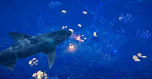 Ocean Fish