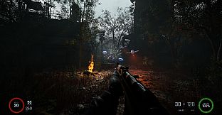 LETHAL SIGNAL