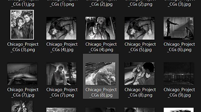 Chicago Project Illustrations