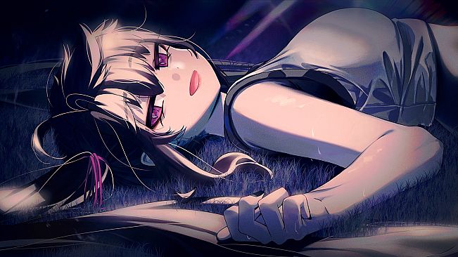 Four Lights Hari route OST