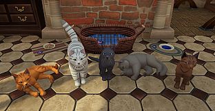 Winkeltje - Cat Companion