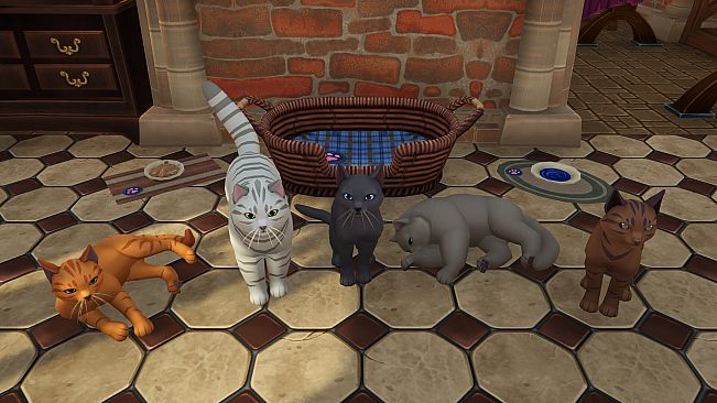 Winkeltje - Cat Companion