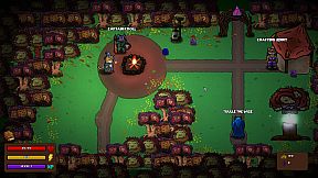 Whiskers and Wizardry