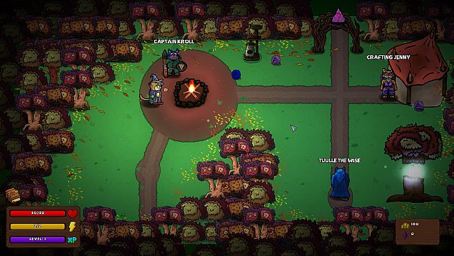 Whiskers and Wizardry