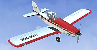 RealFlight Evolution - 2023 Year Content Pass