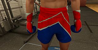 The Thrill Of The Fight 2 - Memorial Day 2026 Gloves
