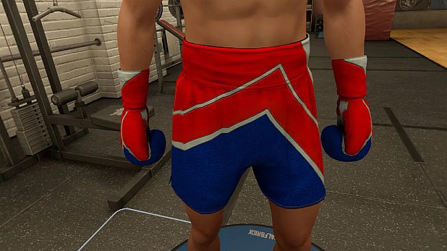 The Thrill Of The Fight 2 - Memorial Day 2026 Gloves