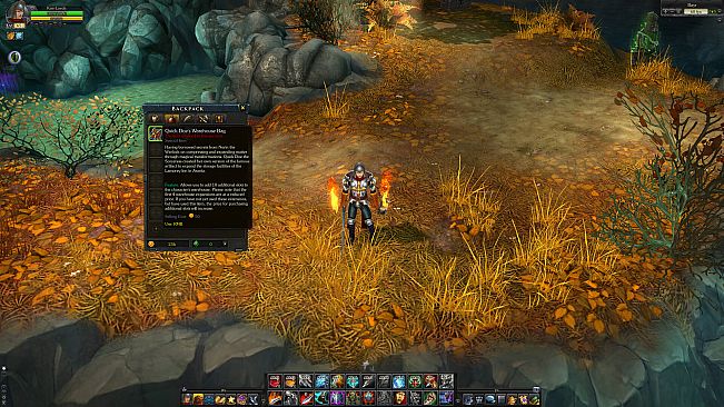 Royal Quest Online - Packmaster