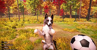 Animal Shelter 2