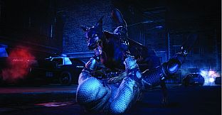 Resident Evil: Operation Raccoon City - Costume Pack 1