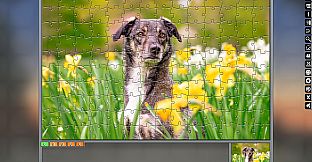 Jigsaw Puzzle Pack - Pixel Puzzles Ultimate: Variety Pack 20