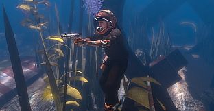 Depth - Back in the Water