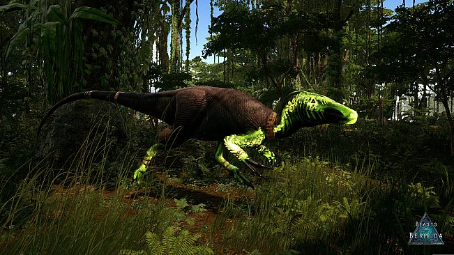 Beasts of Bermuda - Megaraptor Supporter Warpaint