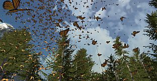 Dances with Butterflies VR