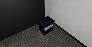 Lost Item