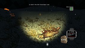 Deer Hunting - The Season