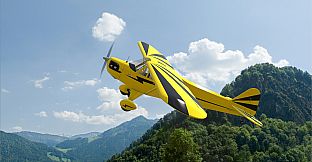 RealFlight Evolution – Hangar 9 Clipped-Wing Cub 10cc