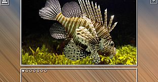 Super Jigsaw Puzzle: Generations - Sealife Puzzles