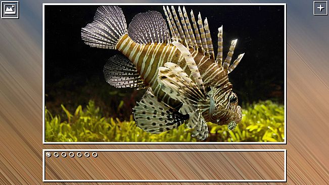 Super Jigsaw Puzzle: Generations - Sealife Puzzles