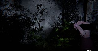 Still Rain: The Arrival