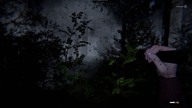 Still Rain: The Arrival