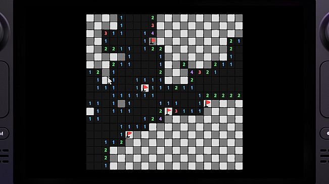 Mini Sweeper