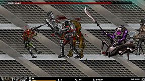 Crazy Flasher Series 2021