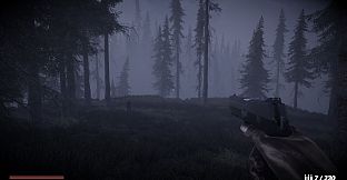 Horror in the forest